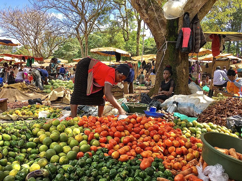 Fresh tomatoes at a vegetable market
